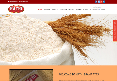 Hathi Brand Foods